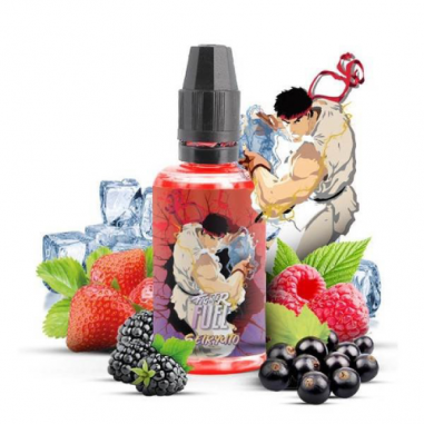 AROMA SEIRYUTO 30ML - FIGHTER FUEL AROMA SEIRYUTO 30ML - FIGHTER FUEL