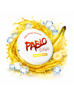 EXCLUSIVE POUCHES BANANA...