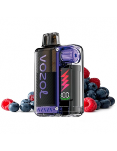 VISTA PLUG KIT STARTER 2 + 10 ML 10.000 PUFFS 20MG NICOTINA ARÁNDANO FRAMBUESA ÁCIDA - VOZOL