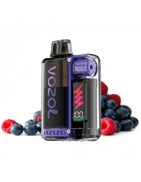 VISTA PLUG KIT STARTER 2 + 10 ML 10.000 PUFFS 20MG NICOTINA ARÁNDANO FRAMBUESA ÁCIDA - VOZOL