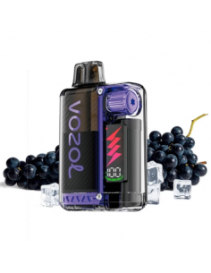 VISTA PLUG KIT STARTER 2 + 10 ML 10.000 PUFFS 20MG NICOTINA UVA HELADA - VOZOL