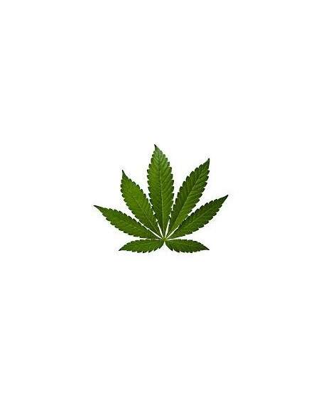 Aroma Cannabis 10ml - VapFip